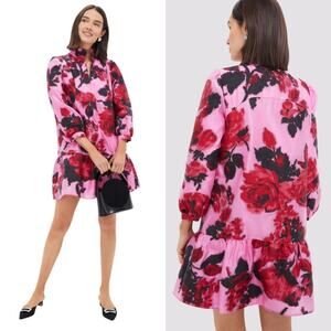 Tuckernuck Palmerston Dress XXL Begonia Blossom Pink Red Floral Mini Tiered NEW